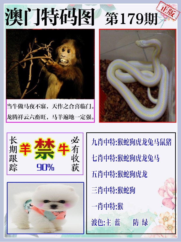 黄大仙手机站